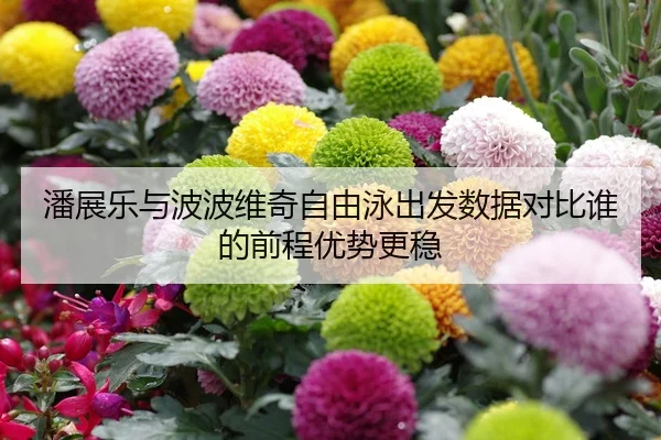 潘展乐与波波维奇自由泳出发数据对比谁的前程优势更稳