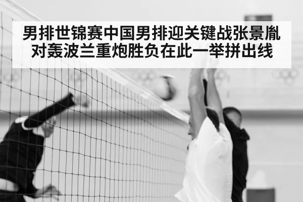 men volleyball match action